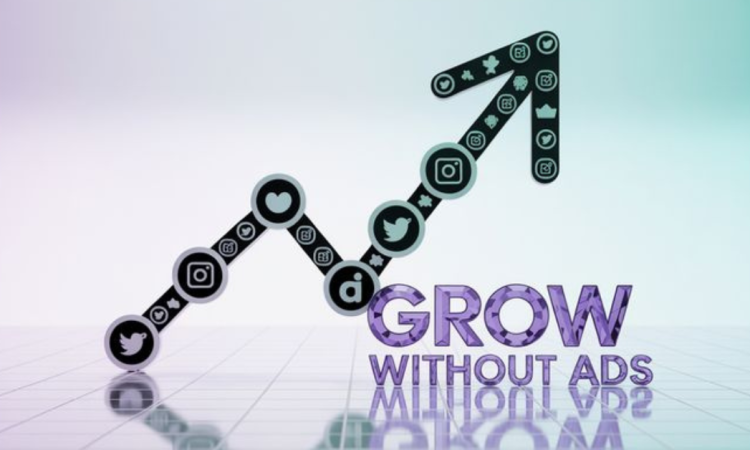 Unlock 2025 IG Growth Secrets with This Pro Guide